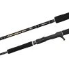 Spinning Rods Shimano Anthem SW Heavy Spinning Fishing Rod