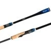 Spinning Rods Shimano TCurve Premium 2021 Spinning Fishing Rods